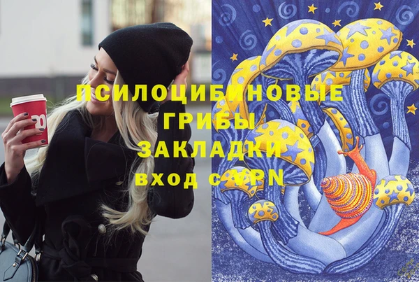 первитин Снежинск