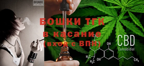 первитин Снежинск