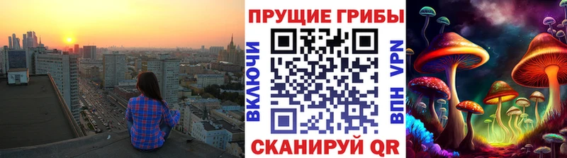 Галлюциногенные грибы Psilocybe  Купить закладки  Азов 